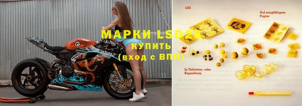 индика Аркадак