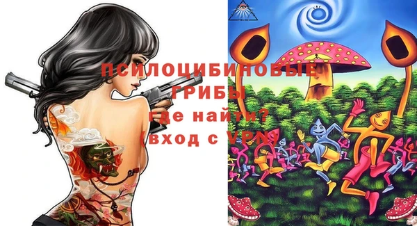 прущий лед Арсеньев
