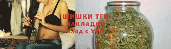 индика Аркадак