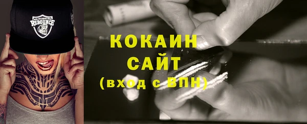 индика Аркадак