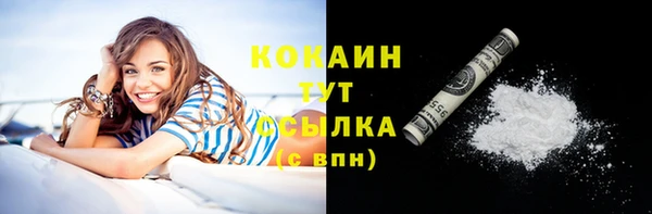 прущий лед Арсеньев