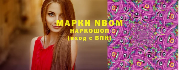 прущий лед Арсеньев