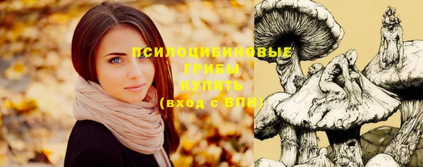 бутират Армянск