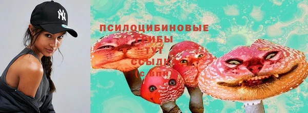 индика Аркадак