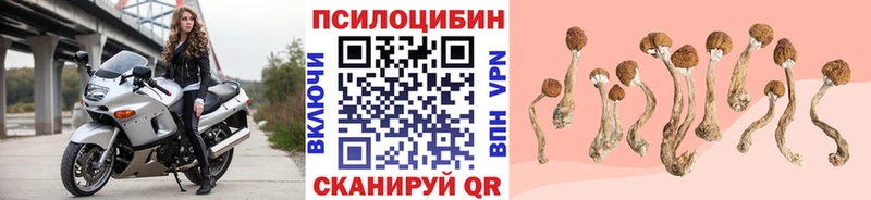 мориарти наркотические препараты  Нефтекумск  Псилоцибиновые грибы Psilocybine cubensis  MEGA как войти 